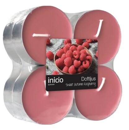 Inicio Sweet Autumn Raspberry